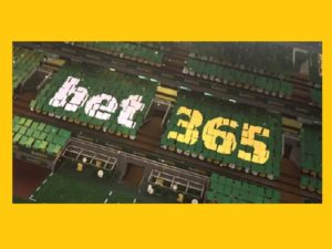 ¿Qué es otb en Bet365?